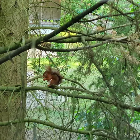 Bei Hamburg Bis 10 Personen Mit Terasse Und Gartennutzung. * Buchholz in der Nordheide